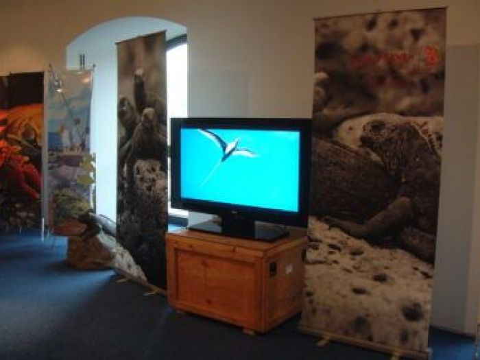 Archisio - Leolab - Progetto Minidarwin