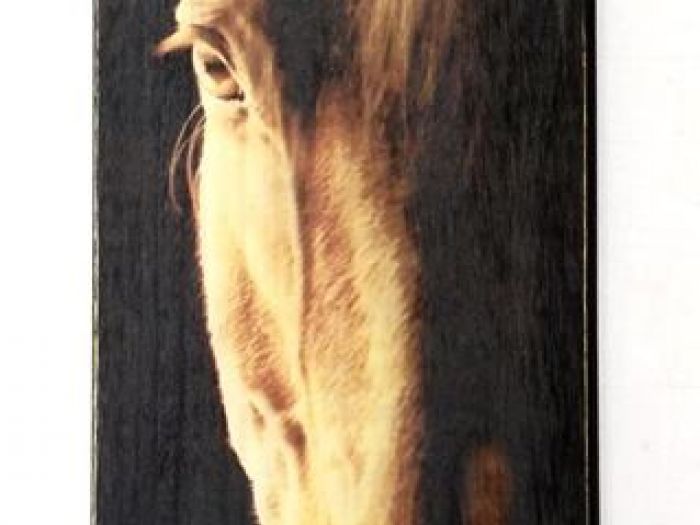 Archisio - Edodesign - Progetto Quadri su legno a doghe