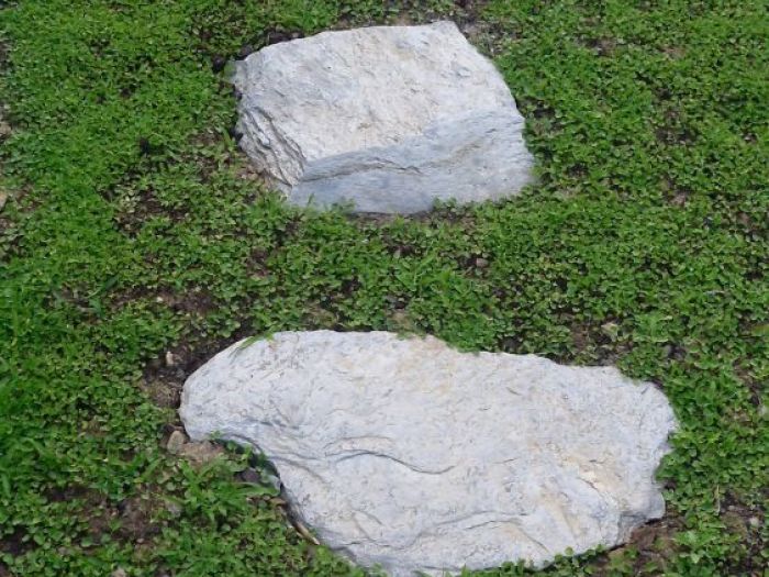 Archisio - Ester Dagostino - Progetto Progettazione giardino privato