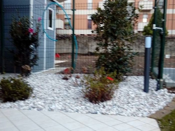 Archisio - I Giardini Dei Tudor - Progetto Manutenzione area verde privato