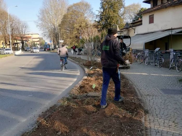 Archisio - Robi Bonaita Alessio Bonaita Fabiano Bonaita - Progetto Le nostre piante