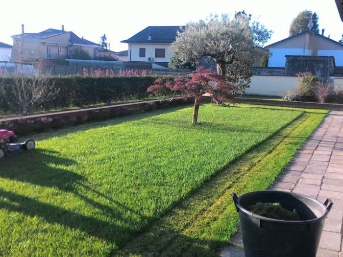 Archisio - Claudio Raiteri Verde Giardino - Progetto Irrigazione rigenerazione pratorigenerazione pratotree climbingisolamento solai