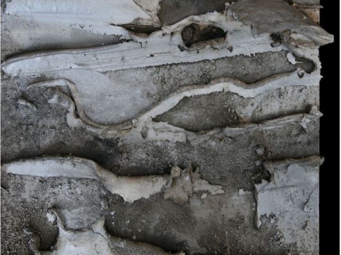 Archisio - Ester Maria Negretti - Progetto ESTER MARIA NEGRETTI