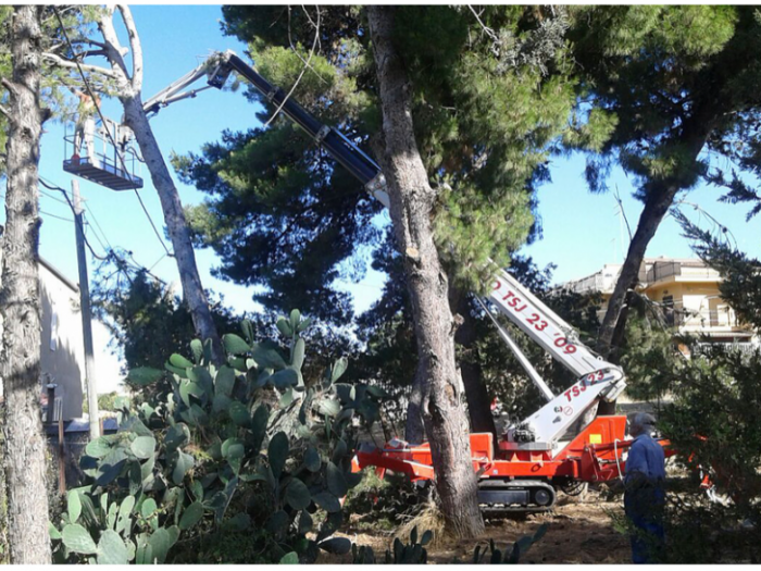 Archisio - Noleggi Vetro - Progetto Ragni