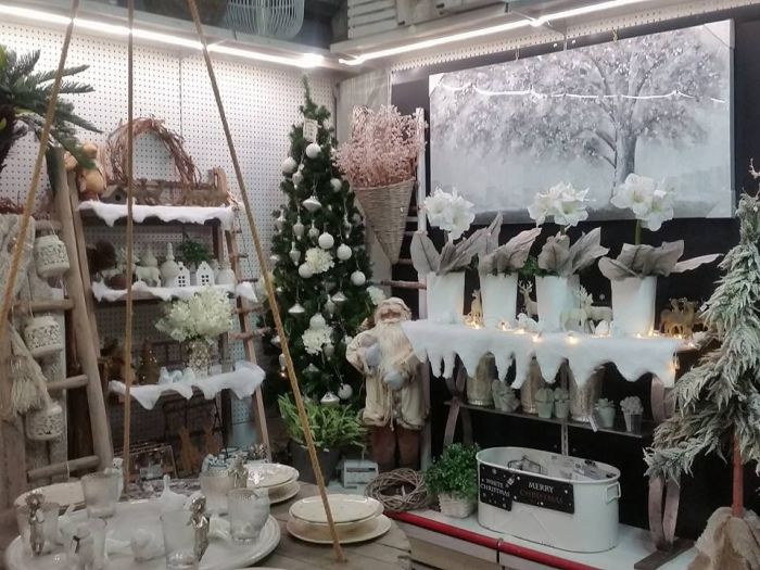 Archisio - Massarroni - Vivai Piante - Garden - Progetto Vivai e piante