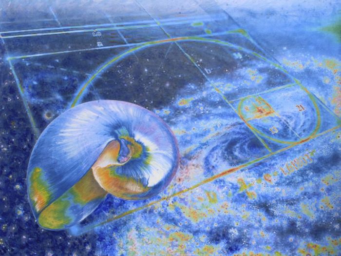 Archisio - Emilio Alberti - Progetto Nautilus