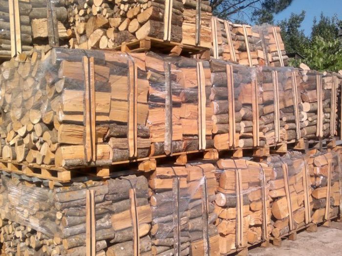 Archisio - Legnastore Di Pietro Pisani - Progetto Legna