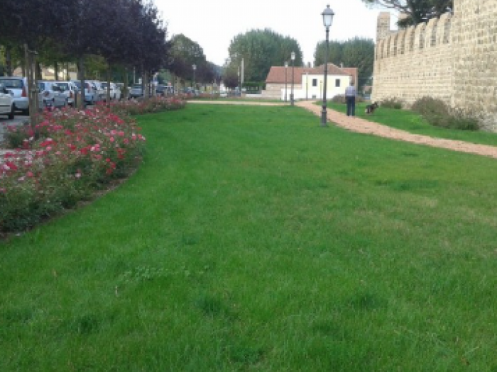 Archisio - Areaverde Consulting - Progetto Giardino pubblico