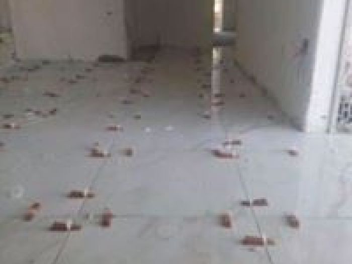 Archisio - Edilviro Impresa Edile - Progetto Pavimentazioni