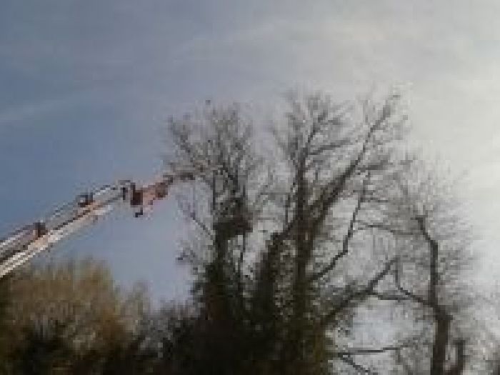 Archisio - Giobbi Massimo - Progetto Lavori generici