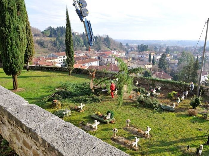 Archisio - Il Dottore Del Verde Di Bruno Barnaba - Progetto Abbattimento cedro monumento sisma 1976