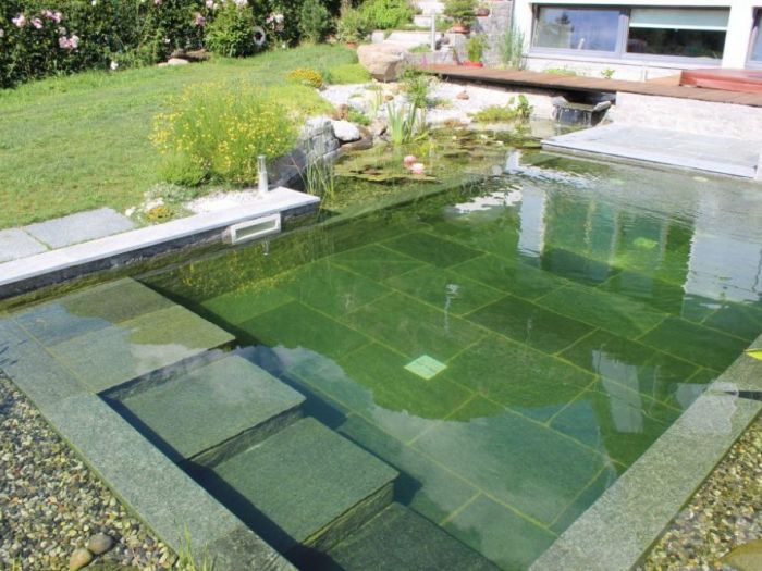 Archisio - Arqtropa Studio - Progetto Biopiscina