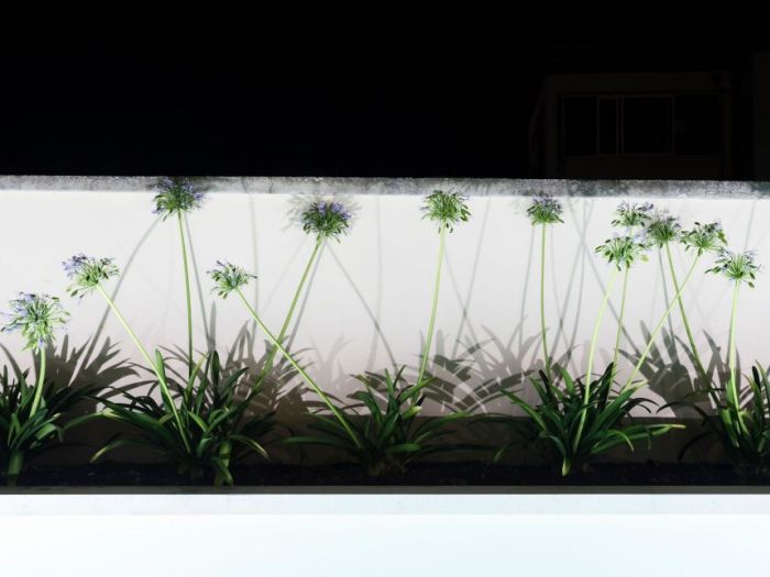 Archisio - Design Project - Progetto Villa privata