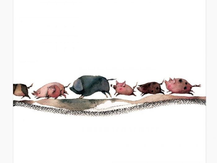 Archisio - Elisa Possenti - Progetto Tutti i maiali del mondo