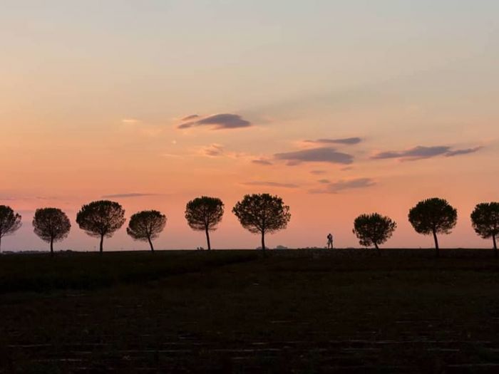 Archisio - Andrea Cutelli Fotografo - Progetto Matrimoni