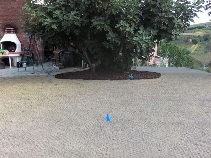 Archisio - Claudio Raiteri Verde Giardino - Progetto Irrigazione rigenerazione pratorigenerazione pratotree climbingisolamento solai