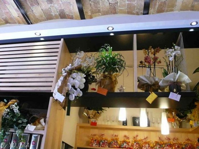 Archisio - Yodaa Architecture - Progetto La boutique del caff