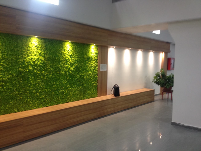 Archisio - Studio Pastore Architettura - Progetto Progettazione parete verde con moss