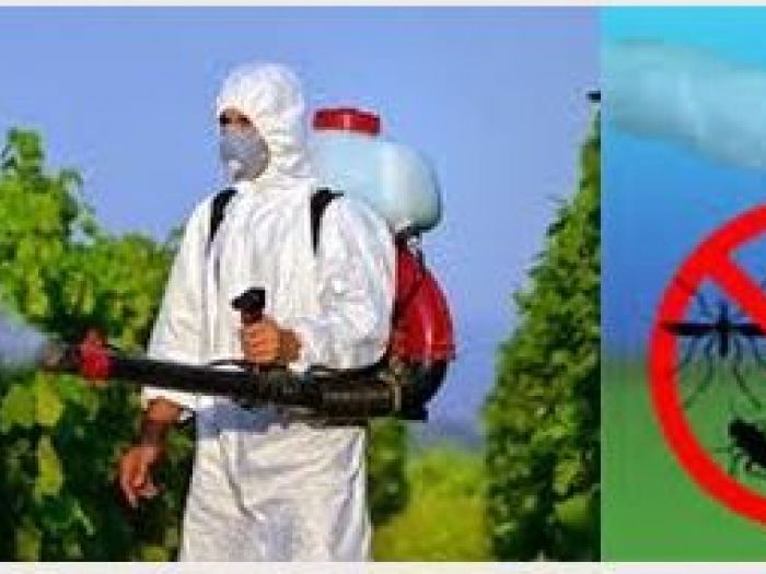 Archisio - Edil Color E Disinfestazioni - Progetto Disinfestazioni