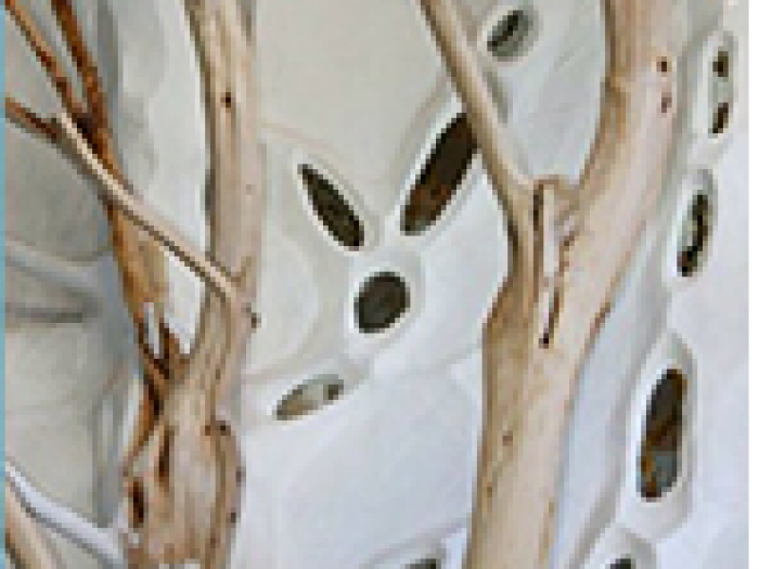 Archisio - Genesio Pistidda - Progetto Archlsculture