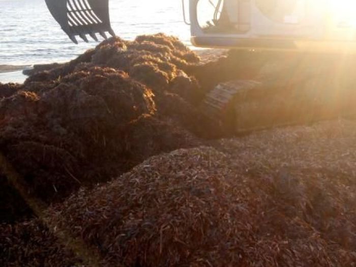 Archisio - New System Service Soc Cons Arl - Progetto Pulizia spiaggia