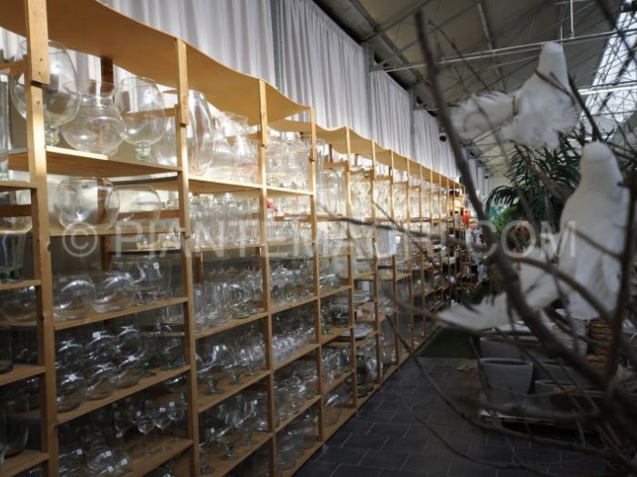 Archisio - Piante Macri - Progetto Il garden