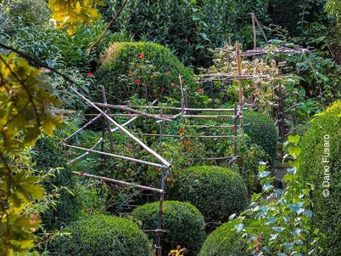 Archisio - Dario Fusaro Garden Photography - Progetto Giardini