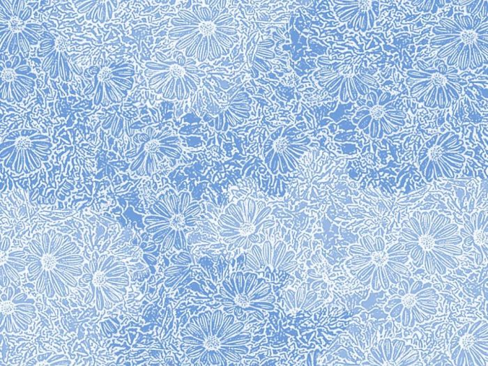 Archisio - Romindesign - Progetto Wallpaper disegn romina q