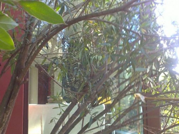 Archisio - Orlando Lanza - Progetto Lanterna tra i cipressi