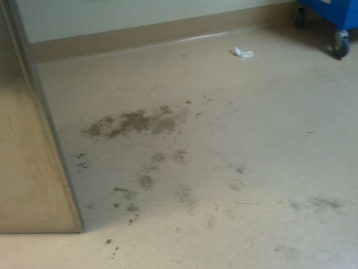 Archisio - Errico Gaglianese - Progetto Rifacimento pavimenti gruppo operatorio ed utic del campus di germaneto