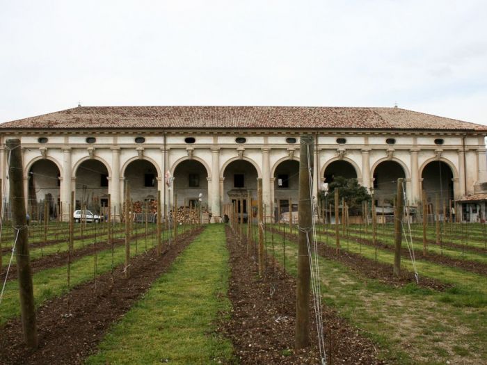 Archisio - Fabio Nassuato - Progetto Monastero cistercense dei ss Gervasio e protasio