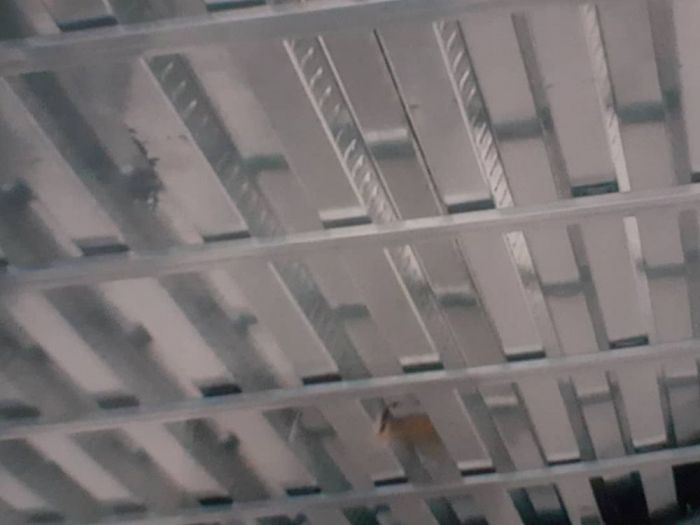 Archisio - Il Paradiso Della Parete - Progetto Cartongesso