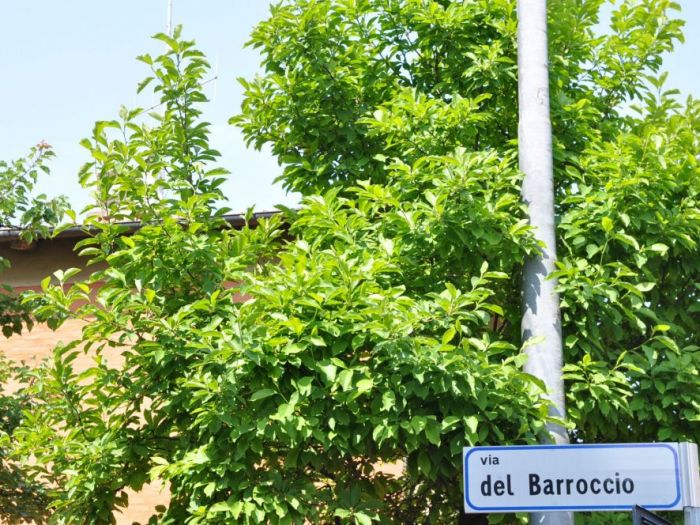 Archisio - Studio Lenzi Associati - Progetto Edificio residenziale in via del barroccio