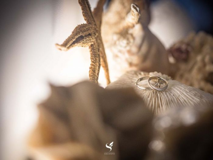 Archisio - Francesca Mufficoni - Progetto Siscafoto