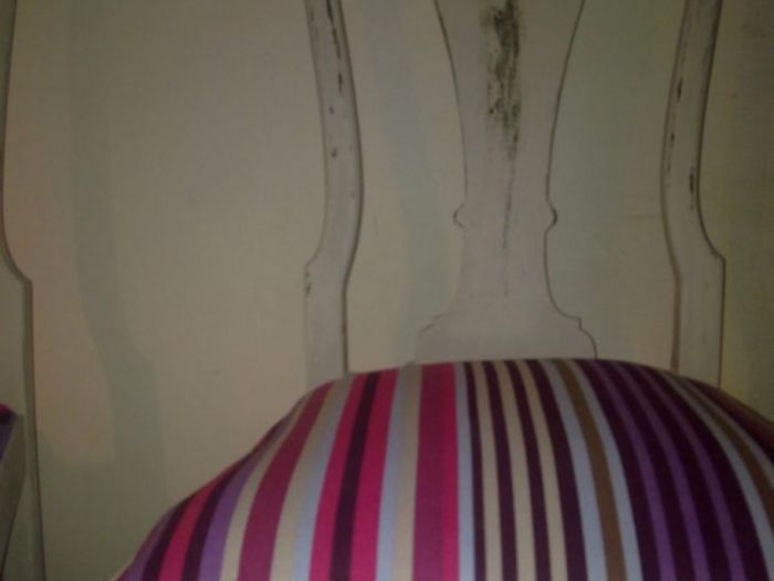 Archisio - Pazza Darte - Progetto Decorazione di mobili