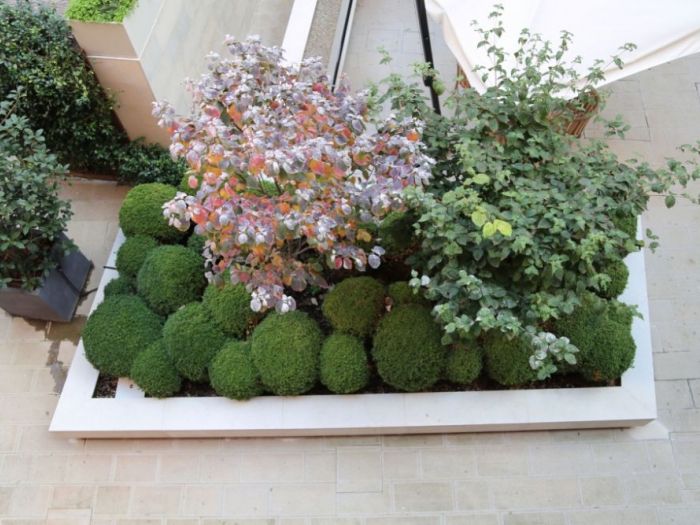 Archisio - Porte Italia Interiors - Progetto Gallery