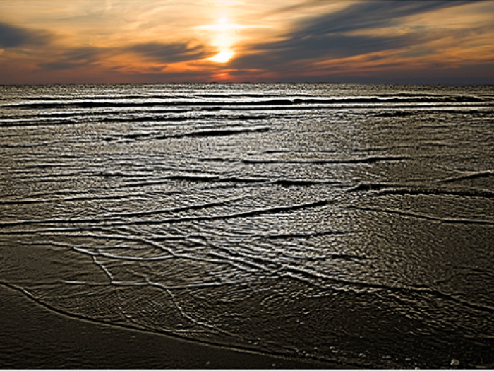 Archisio - Patrizia Savarese - Progetto Fotografia