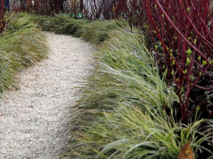 Archisio - Lucia Panzetta - Progetto Il giardino dei semplici