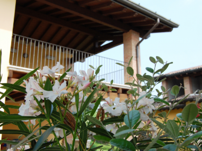 Archisio - Studio Massardi E Zubani - Progetto Bb al mulino