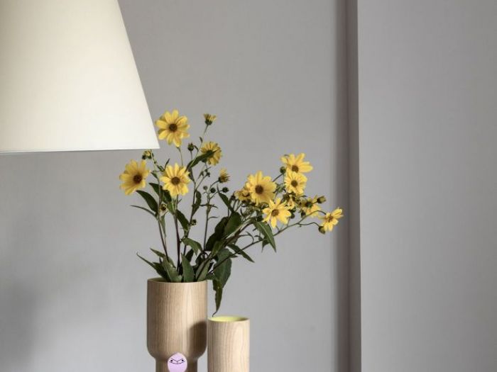 Archisio - Euga Design Studio - Progetto Bilocale per single