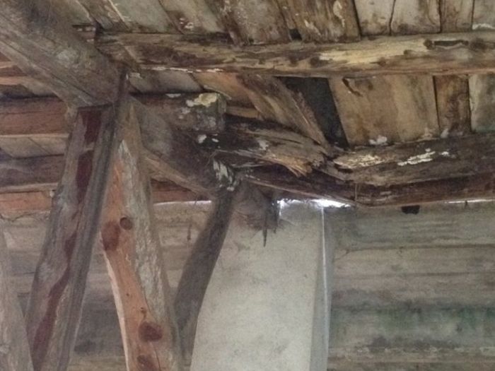 Archisio - Edilcasa Snc - Progetto Restauro cantine di villa miari fulcis