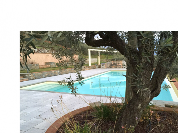 Archisio - Depur 2000 Di Sorini Dini Marcello - Progetto Depurazione delle acque