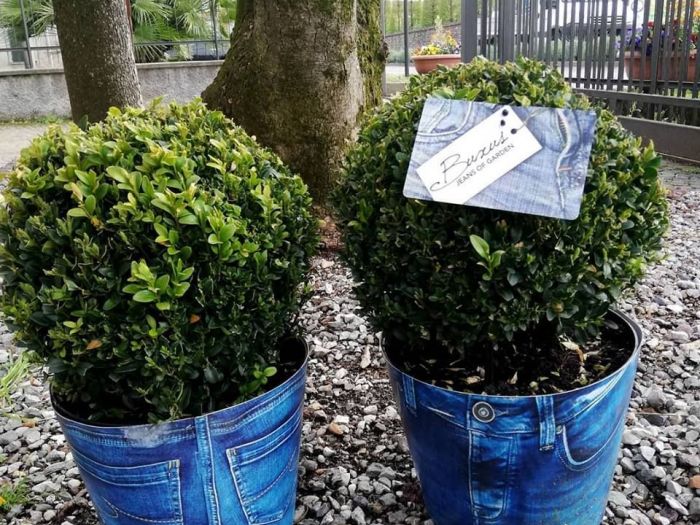 Archisio - Robi Bonaita Alessio Bonaita Fabiano Bonaita - Progetto I fiori di ornella