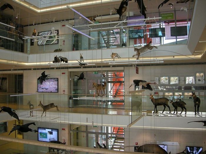 Archisio - Ctm srl - Progetto Musei