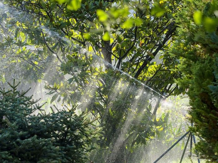 Archisio - Nardozza Nicola Impianti Elettrici - Progetto Installazione impianto irrigazione giardino