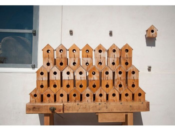 Archisio - Studio Gum - Progetto Progetto cargo