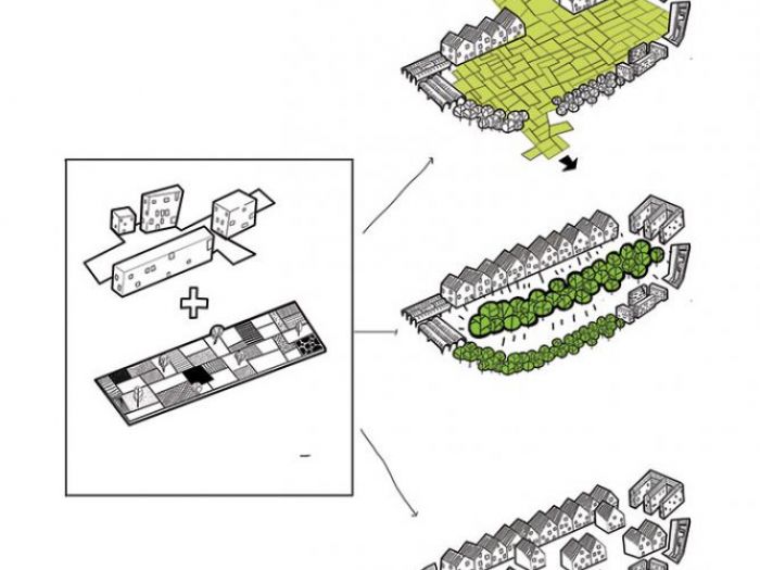 Archisio - Marta Forlese - Progetto Its not easy being green