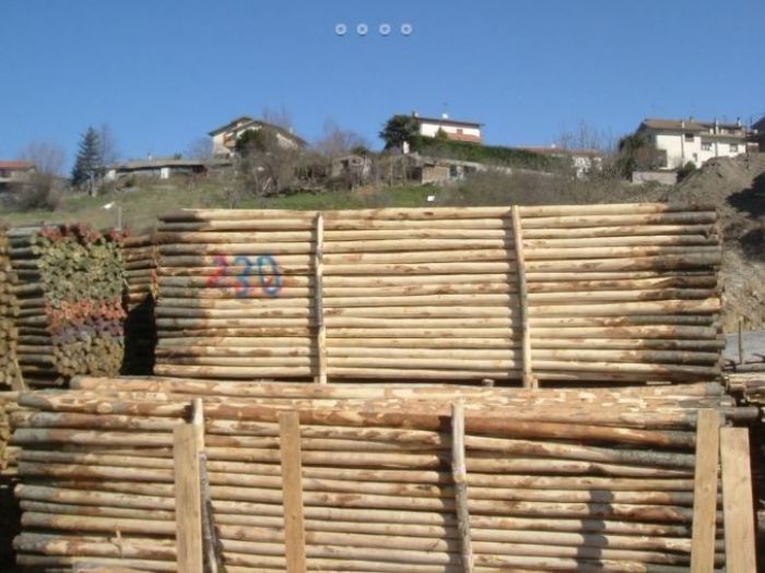 Archisio - Edilizia Ctm srl - Progetto Paleria