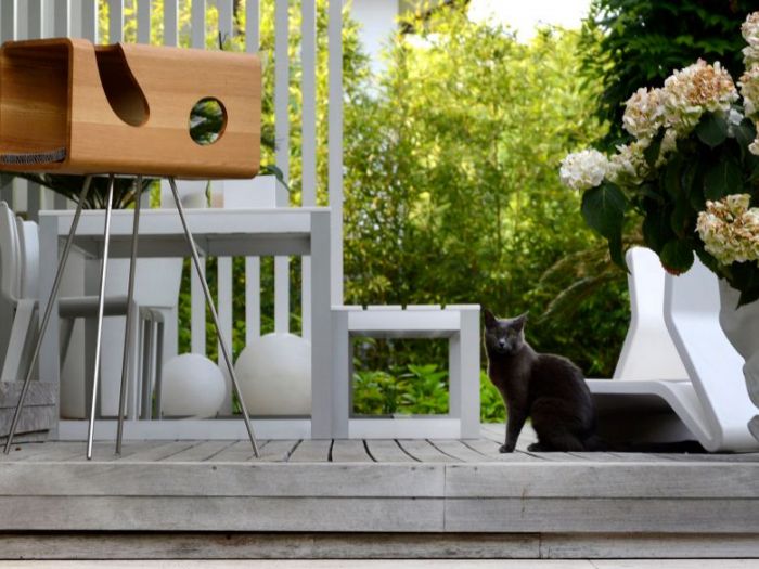 Archisio - Brandodesign - Progetto La cuccia cat60