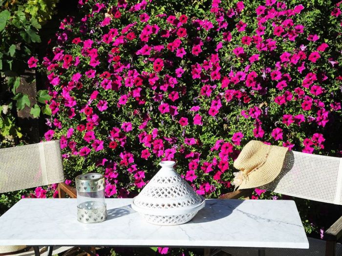 Archisio - Studio Codeb Vergnano - Progetto Campagna